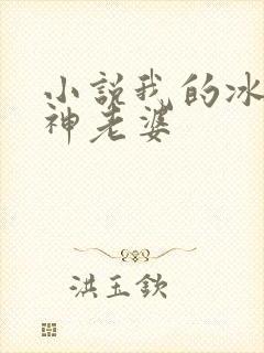 小说我的冰山女神老婆