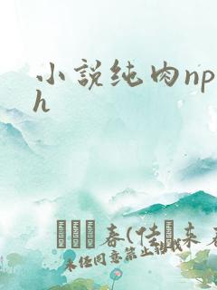小说纯肉np高h