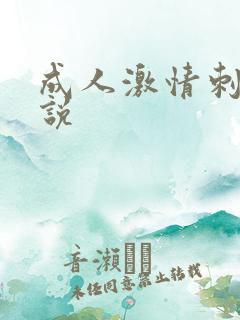 成人激情刺激小说