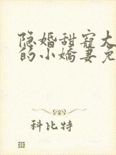 隐婚甜宠大财阀的小娇妻免费阅读