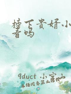 榜下贵婿小说好看吗