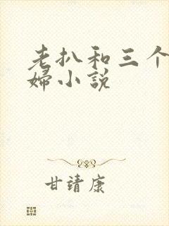 老扒和三个儿媳妇小说