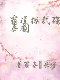 霸道总裁强制爱泰剧
