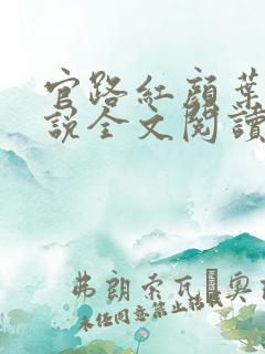 官路红颜叶鸣小说全文阅读