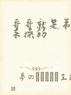 哥哥就是弟弟用来操的
