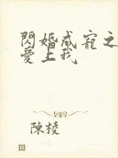 闪婚成宠之大佬爱上我
