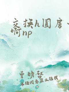 交换h圆房～嗯啊np