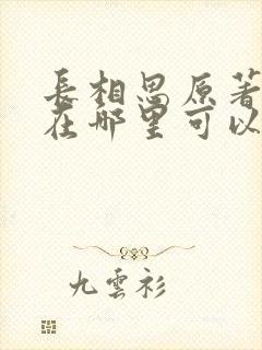长相思原著小说在哪里可以看