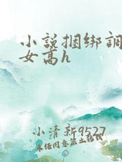 小说捆绑调教美女高h