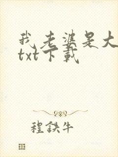 我老婆是大明星txt下载