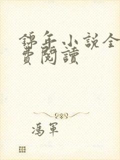 锦年小说全文免费阅读