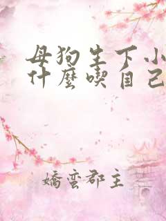 母狗生下小狗为什么吃自己生的小狗