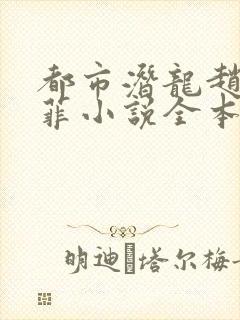 都市潜龙赵东苏菲小说全本免费阅读