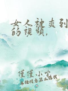 女人被爽到呻吟的视频,