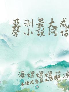 亚洲最大成人有声小说网站