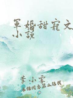 军婚甜宠文短篇小说