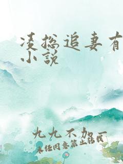 凌总追妻有点甜小说