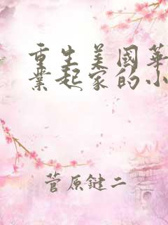重生美国华裔创业起家的小说