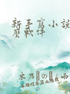 新手写小说用什么软件