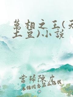 万相之王(天蚕土豆)小说