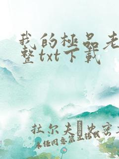 我的极品老婆完整txt下载