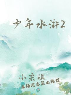 少年水浒2