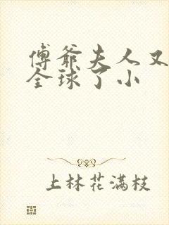 傅爷夫人又惊艳全球了小
