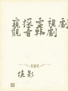 窥探电视剧在线观看韩剧