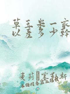 草玉米一亩地可以产多少干草
