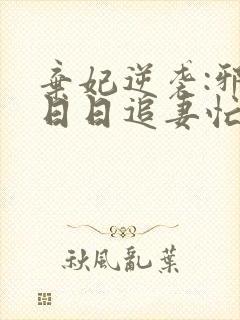 弃妃逆袭:邪王日日追妻忙全文阅读