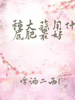 种大蒜用什么做底肥最好