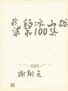 我的冰山总裁老婆第100集