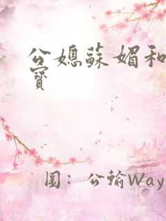 公媳苏媚和赵大宝