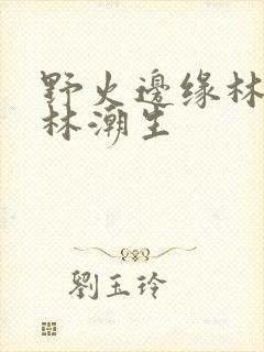 野火边缘林晚晚林潮生