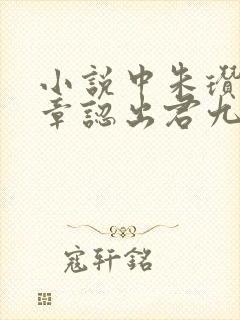 小说中朱瓒哪一章认出君九龄