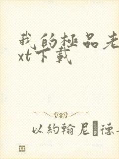 我的极品老婆txt下载