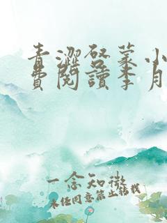 青涩启蒙小说免费阅读李月苏勇