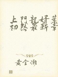 上门龙婿叶辰萧初然最新章节全文免费阅读