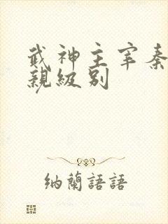 武神主宰秦尘父亲级别