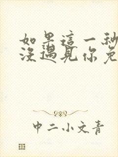 如果这一秒,我没遇见你免费在线阅读