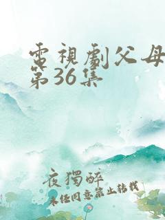 电视剧父母爱情第36集