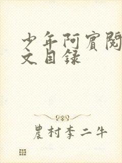 少年阿宾阅读全文目录
