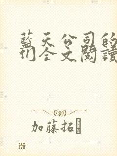 蓝天公司的空姐们全文阅读