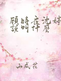 顾时夜沈婷晚小说叫什么