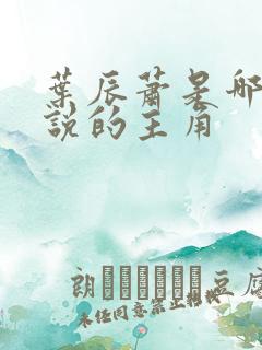 叶辰萧是哪部小说的主角
