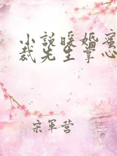 小说暖婚蜜爱总裁先生掌心宠