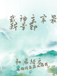 武神主宰最新更新章节
