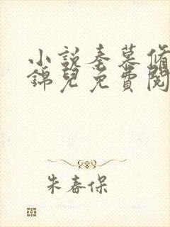 小说秦慕修和赵锦儿免费阅读