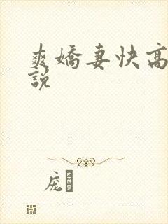 爽娇妻快高h小说