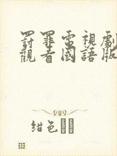 罚罪电视剧免费观看国语版全集